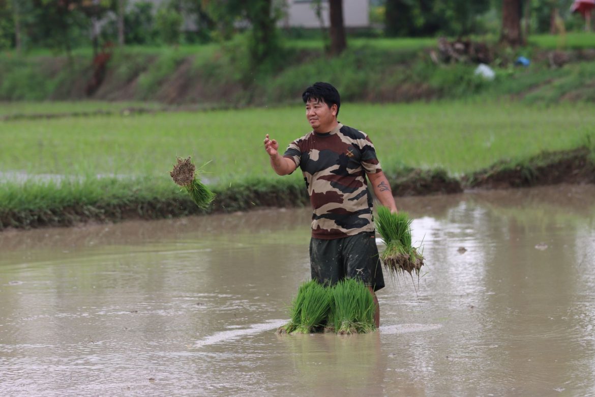 Nepal floods DNA profiling: Is it a Smart Solution?