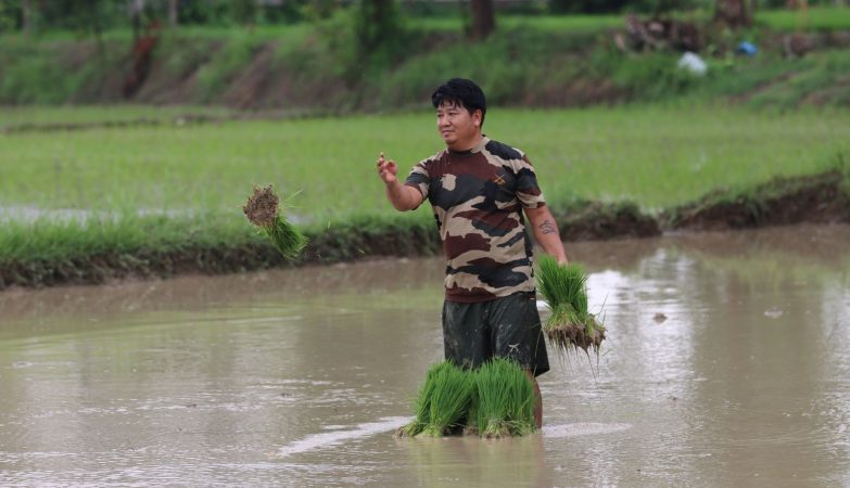 Nepal floods DNA profiling