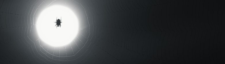 Nicolas Cage Spider-Noir