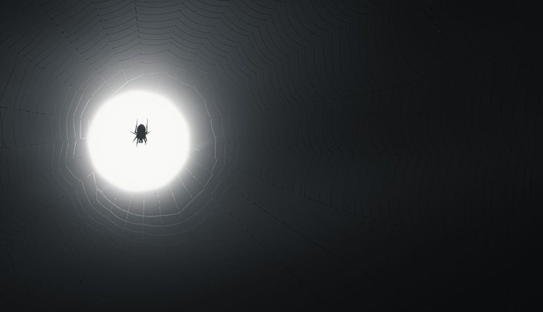 Nicolas Cage Spider-Noir